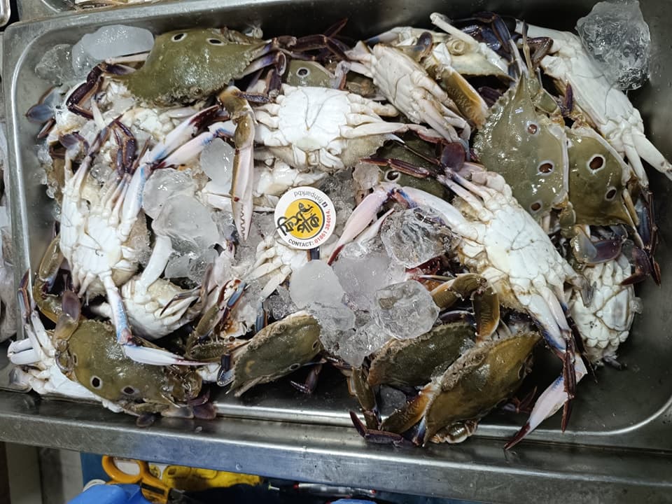 Crab & Lobster