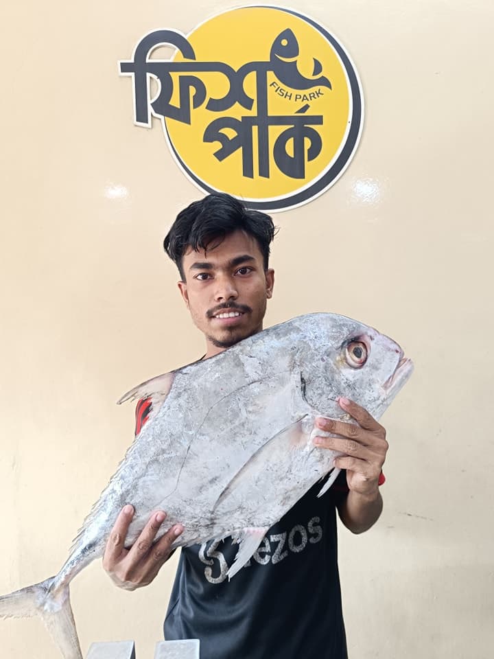 Fresh fish