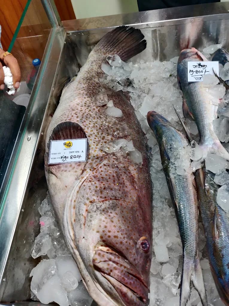 Fish Park shop