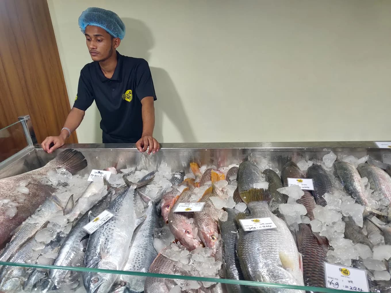 Fish Park shop