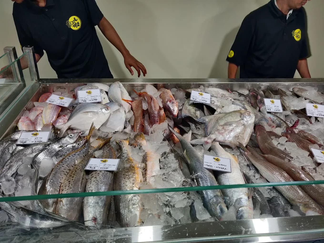 Fish Park shop
