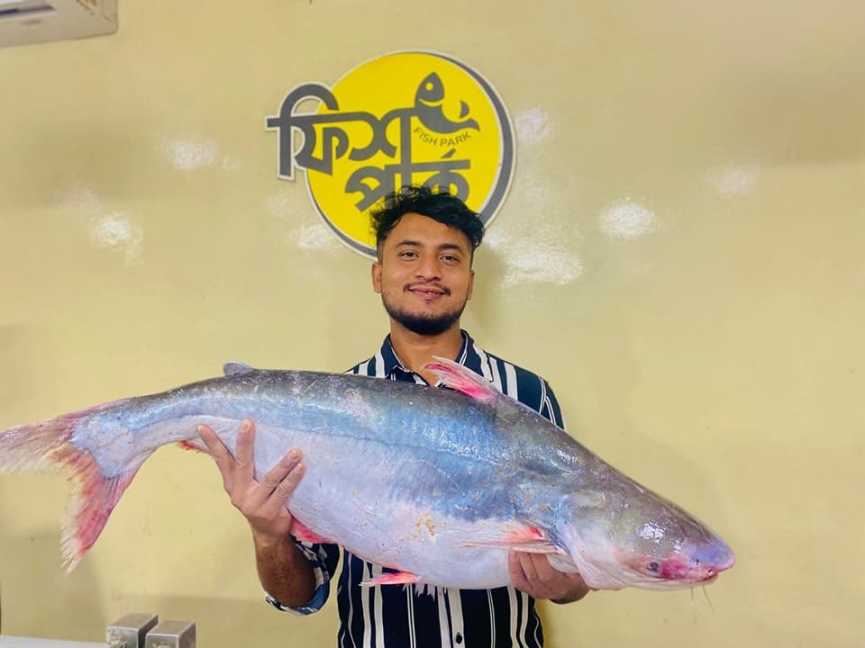 Other Sea Fish