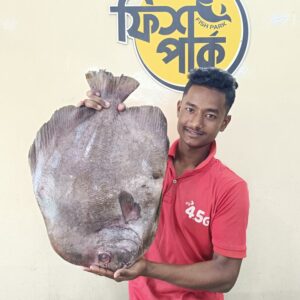 Fresh Hatir Kan fish displayed in a Bangladeshi seafood market, a large flat-bodied marine fish with silver-grey skin and dark fins.
