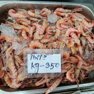 Redfin Shrimp