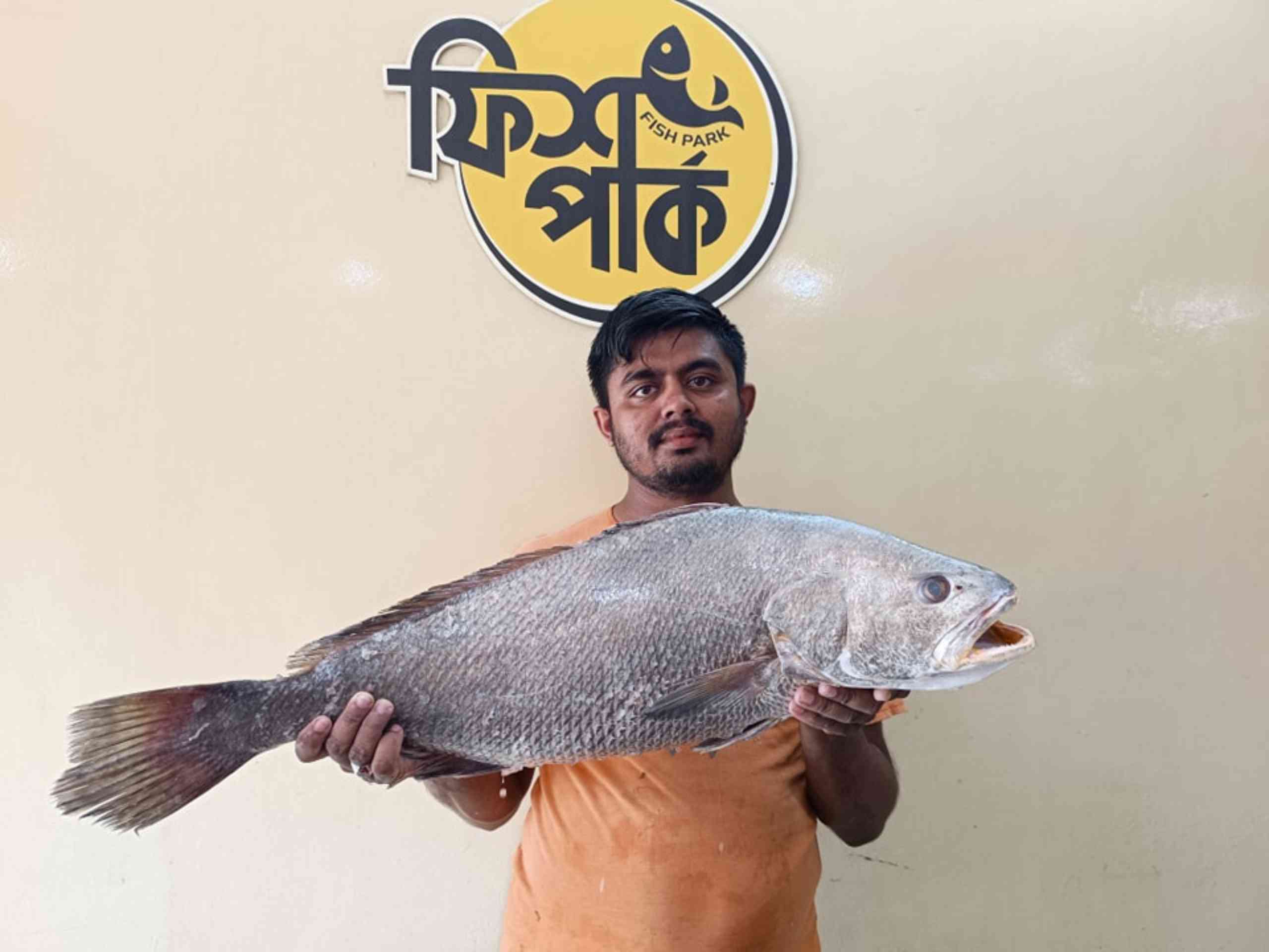 Fresh Black Koral premium sea fish held by a seafood seller at Fish Park in Bangladesh