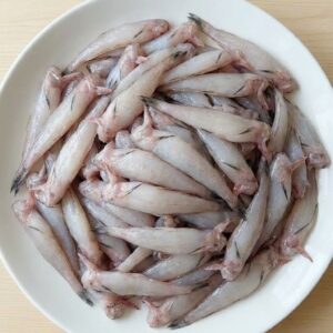 Fresh raw Loitta fish neatly arranged on a white ceramic plate.