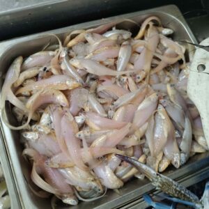 Fresh Olowa small sea fish displayed in a seafood market tray in Fish Park alongside fresh shrimp and marine seafood.