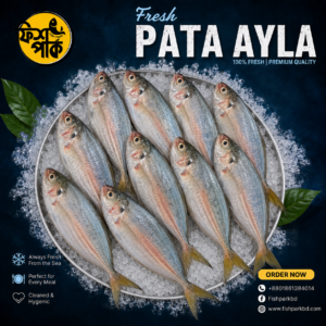Pata Ayla