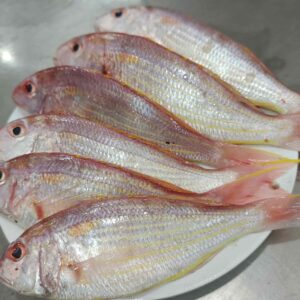 Fresh Red Stick small sea fish displayed on a white plate, featuring silver and pink marine fish commonly found in Bangladesh seafood markets.
