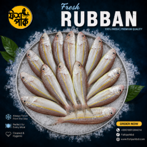 Rubban (s)