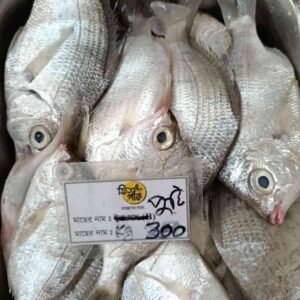 Fresh sea puti fish arranged in a stainless steel tray with ice at a Fish Park