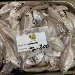 Fresh Shaingail small sea fish displayed on ice in a seafood market tray in Fish Park