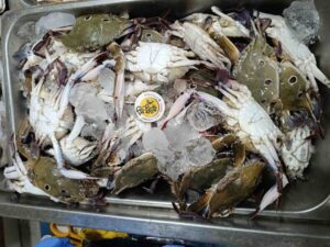 Fresh 3 Spot Crabs displayed on a bed of crushed ice in a metal tray at Fish Park market, showing distinct spots on their shells