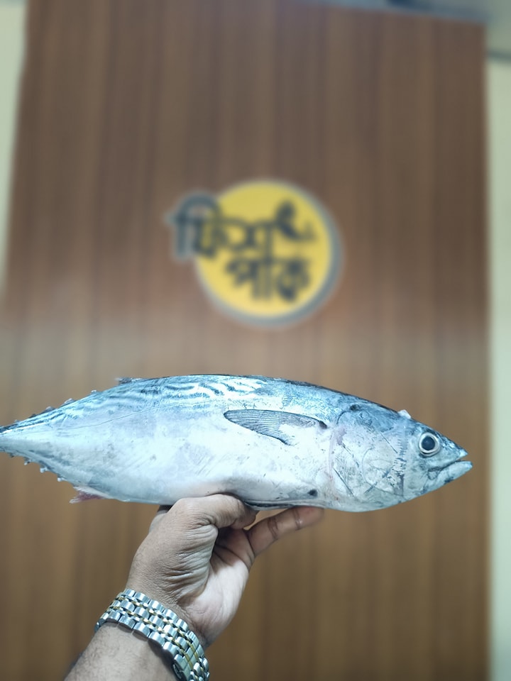 Tuna - Image 2