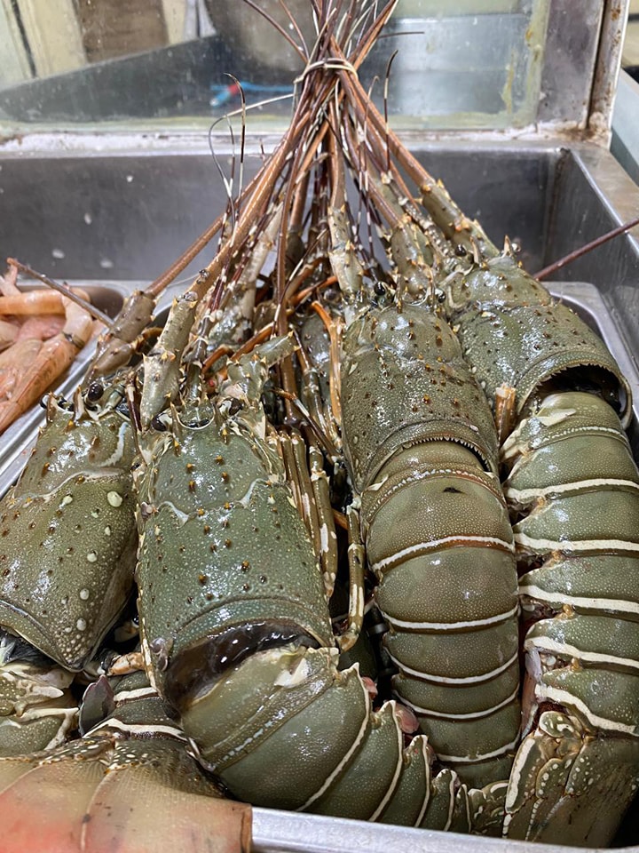 Lobster - Image 2