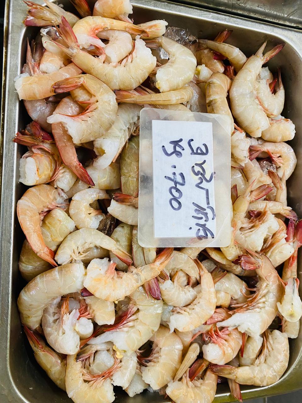 Brown Shrimp - Image 4