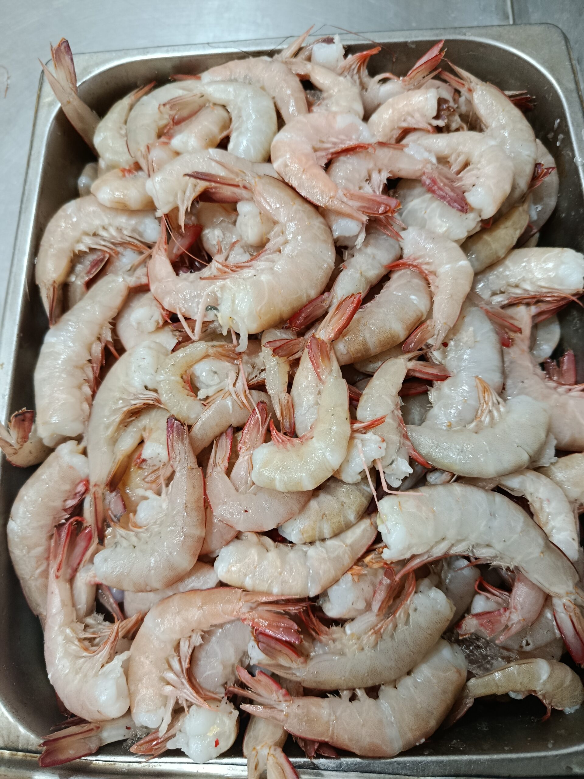 Brown Shrimp - Image 2