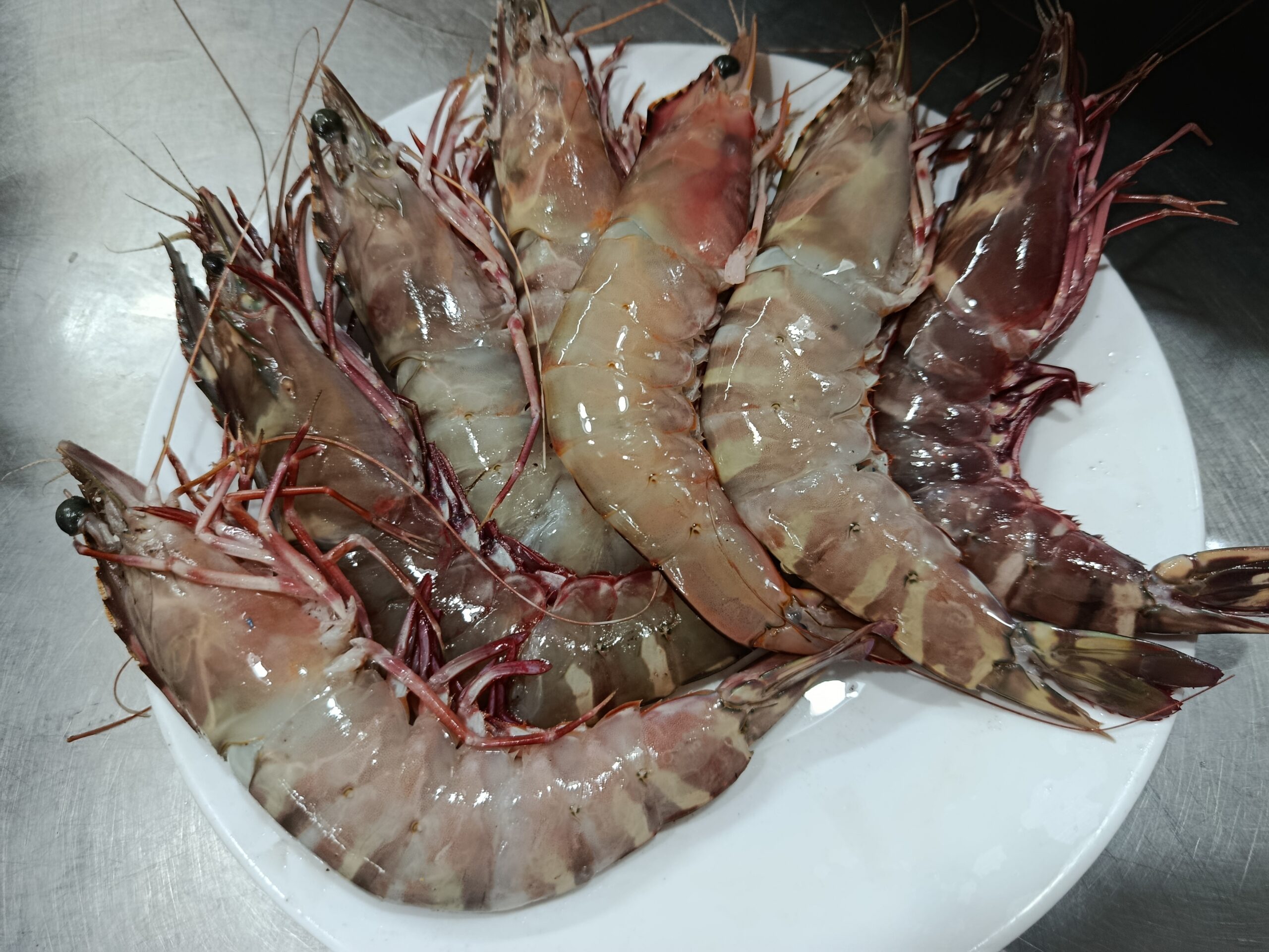Tiger Shrimp - Image 2