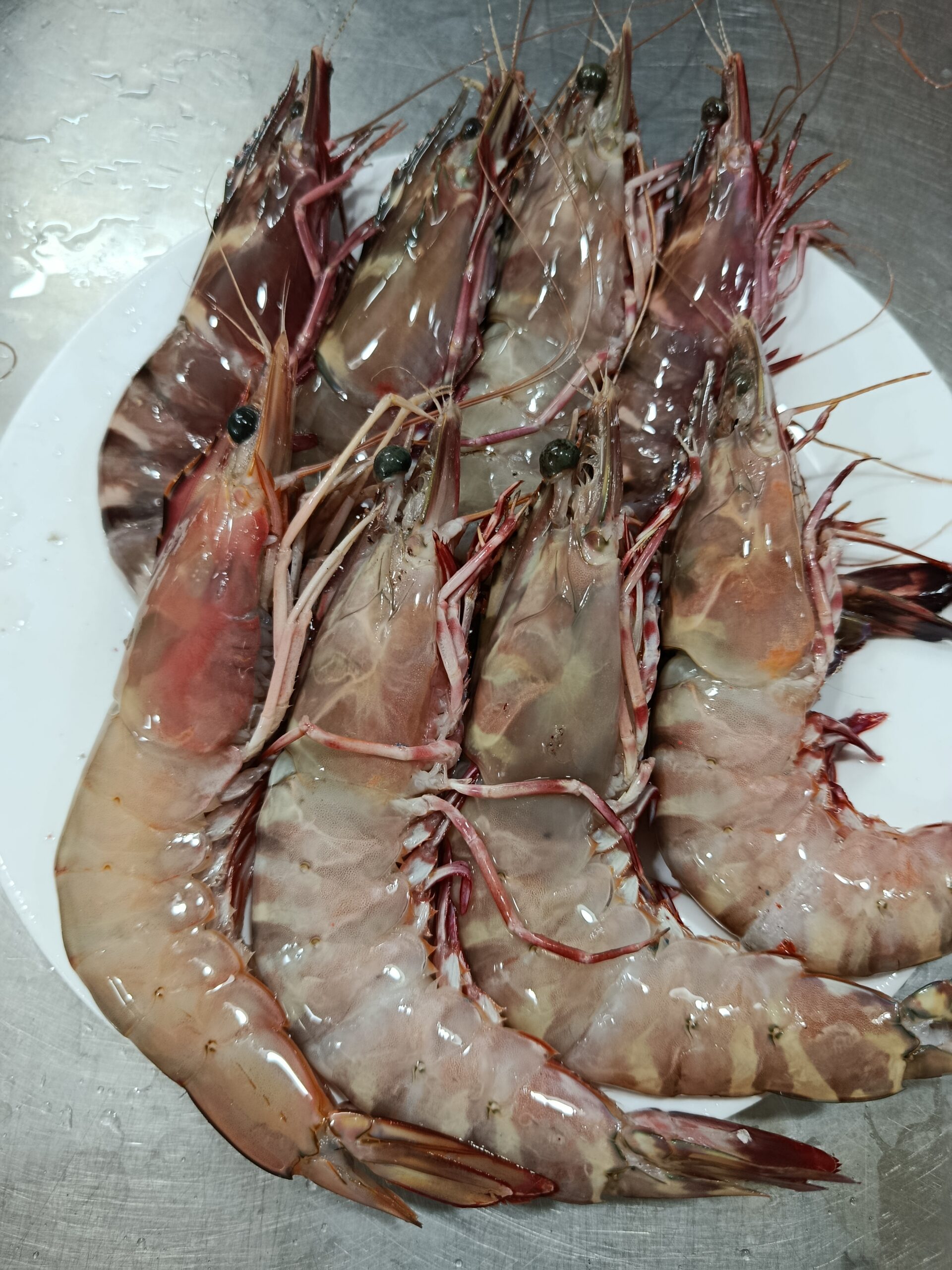 Tiger Shrimp - Image 4