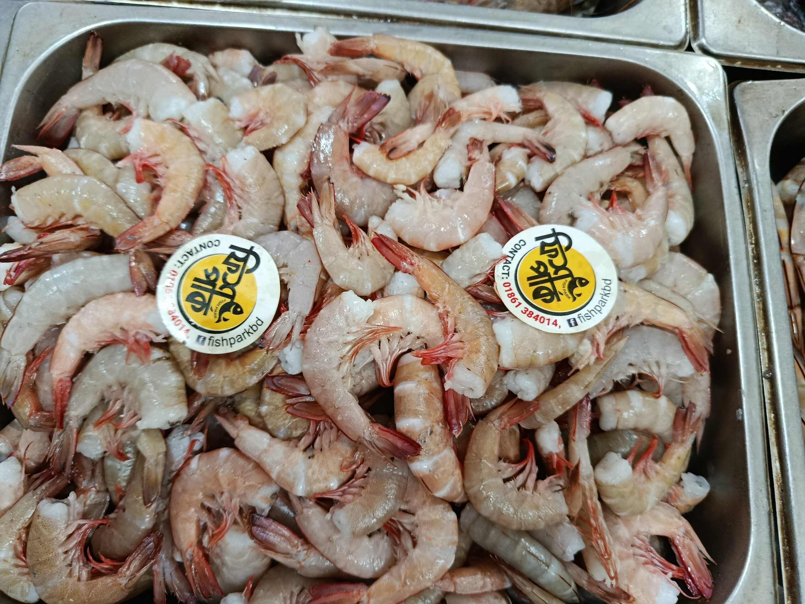 Brown Shrimp - Image 3