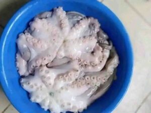 Fresh, clean whole octopus with distinct suction cups resting inside a bright blue bowl