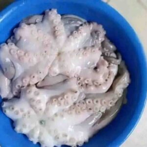 Fresh, clean whole octopus with distinct suction cups resting inside a bright blue bowl