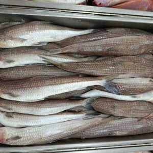 Raw Sea Bailla fish close-up showcasing its scales and texture, featured under the popular sea fish collection.