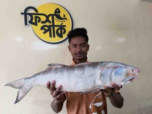 A store employee proudly holding a massive, fresh whole Tailla fish (Indian Salmon) horizontally in front of a Fish Park sign