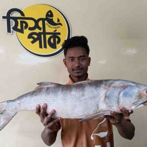 A store employee proudly holding a massive, fresh whole Tailla fish (Indian Salmon) horizontally in front of a Fish Park sign