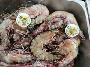 Fresh jumbo whole Tiger Shrimp with distinctive striped shells and red highlights displayed in a metal market tray at Fish Park