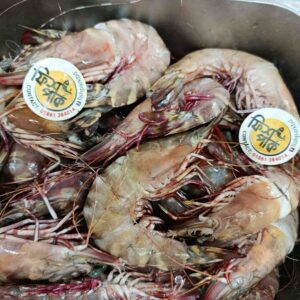 Fresh jumbo whole Tiger Shrimp with distinctive striped shells and red highlights displayed in a metal market tray at Fish Park