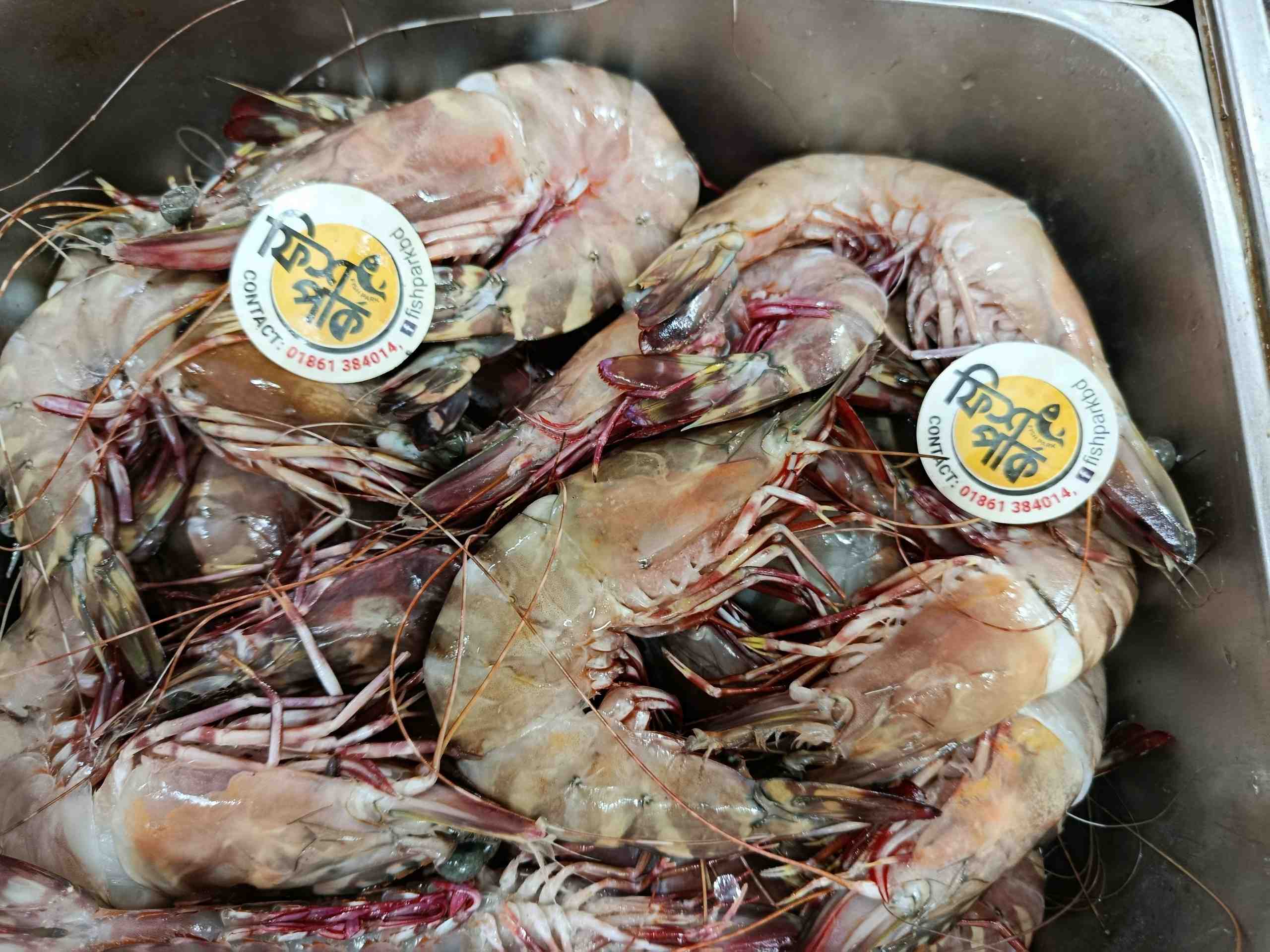 Fresh jumbo whole Tiger Shrimp with distinctive striped shells and red highlights displayed in a metal market tray at Fish Park