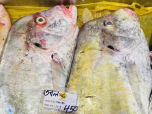 Two large, fresh whole Tobol fish displayed on a bed of ice with a price label at a seafood market