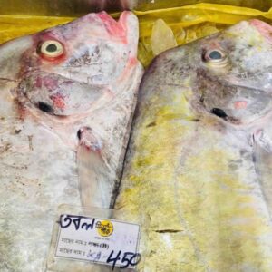 Two large, fresh whole Tobol fish displayed on a bed of ice with a price label at a seafood market