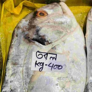 Fresh whole Ayna or Tobol sea fish with bright silver reflective skin, displayed in a metal tray with a handwritten price tag labeled "Tobol" in Bengali.