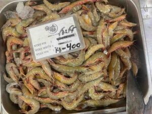 A large metal display tray filled with fresh, whole, raw Vegetable Shrimp on ice with a price tag placard in a seafood market.