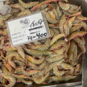 A large metal display tray filled with fresh, whole, raw Vegetable Shrimp on ice with a price tag placard in a seafood market.