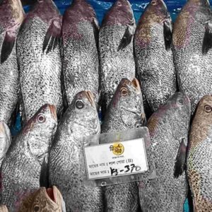 Fresh whole Black Jew fish displaying shimmering silver-dark scales, arranged neatly on a blue liner inside a retail display bin alongside a Fish Park price label.
