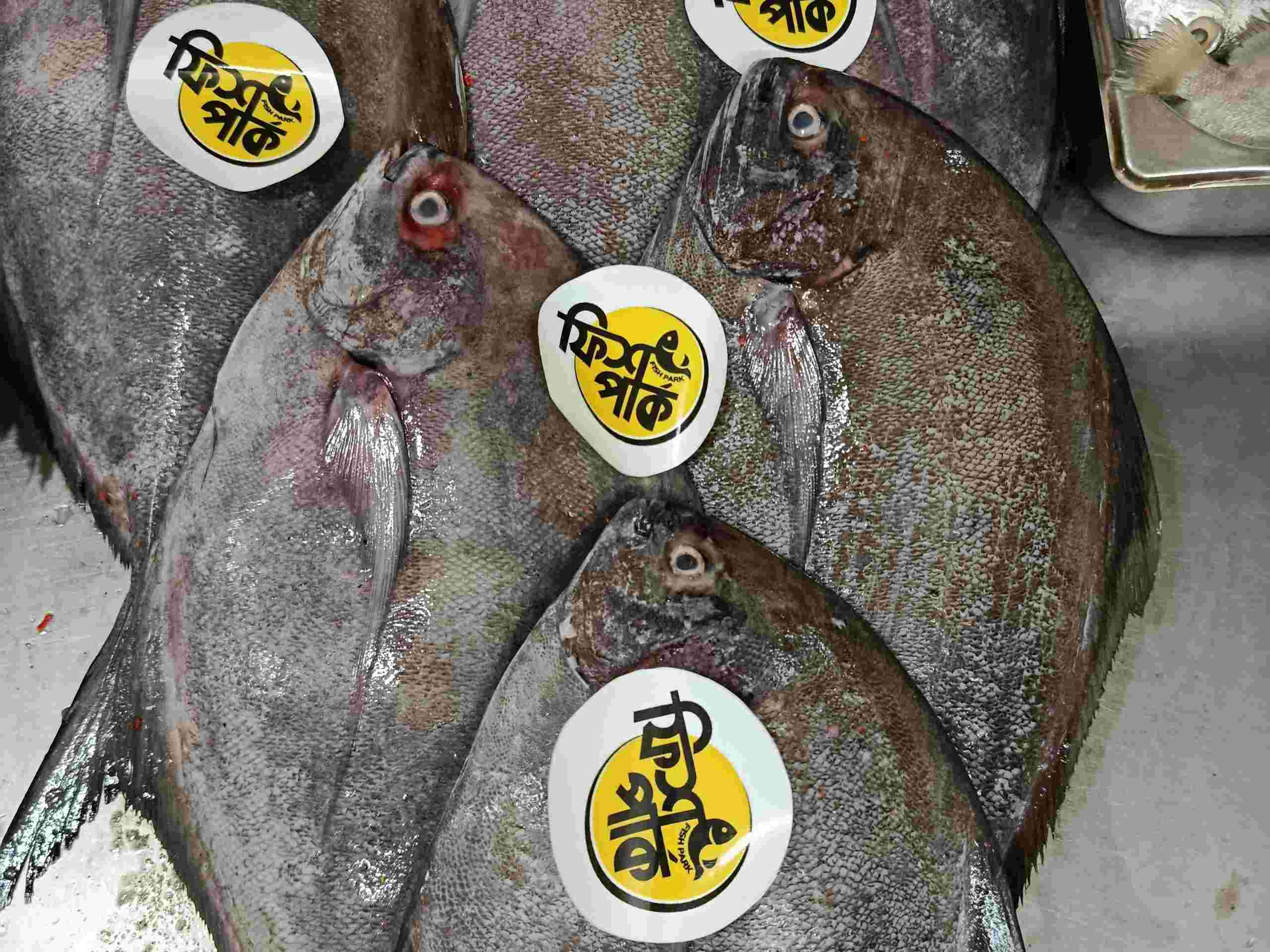 Fresh whole Black Pomfret fish with distinctive flat profiles and dark silver-grey scales, tagged with bright yellow Fish Park brand labels on a metal display counter.