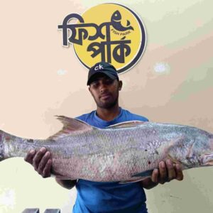 A store assistant holding a massive, fresh whole premium Lakka fish in front of a Fish Park logo, showcasing its large size and high-quality seafood standards.