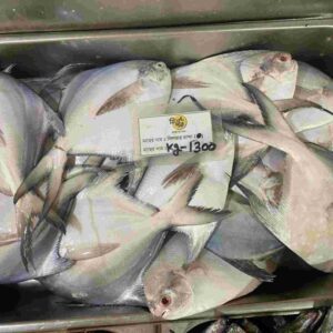 Fresh whole premium Silver Pomfret fish featuring shimmering silver skin, stacked inside a deep stainless steel retail container next to a Fish Park price tag written in Bengali.